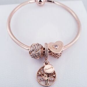 ⚘️Authentic Pandora ROSE MOTHER'S BANGLE BRACELET GIFT 🎁 4pc SET